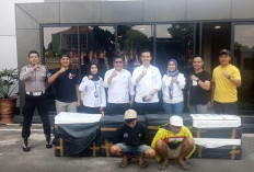 Benih Lobster Senilai Rp5,6 Milyar Gagal Diselundupkan dari Tanjung Api-api, Langsung Dilepasliarkan