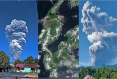 Evakuasi Dramatis Korban Erupsi Gunung Dukono: 2 WNA Tewas dan 1 Lokal Hilang