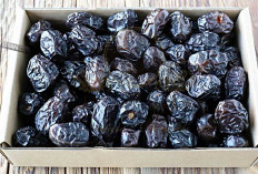 8 Manfaat Kurma Ajwa, Buah Surga yang Disayang Rasulullah SAW