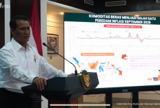Siap-Siap! Segera Dibuka 1,6 Juta Lapangan Kerja, Gegara Hilirisasi Komiditas Ini