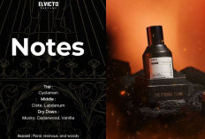 Review Parfum Elvicto untuk Para Pria Sesuai Kegiatan, Mau Kesan Mature dan Maskulin Pilih Varian ini!
