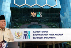 Ini Alasan Presiden Prabowo Bolehkan Ekspatriat Pimpin BUMN, Sampai Ubah Regulasi!