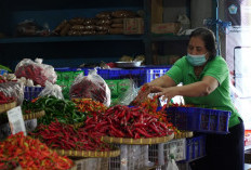 Ini Jaminan Menenangkan dari Mentan Amran Soal Pangan di Akhir Tahun