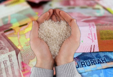 Bansos BPNT Bakal Cair Mei 2025? Cek Jadwal dan Nominal Penyalurannya di Sini!