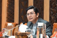 PKS Zonk di Dapil Sumsel Pada Pileg 2024, Segini Suaranya