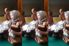 Heboh di Media Sosial! Guru SDN 6 Palu Kritik Menu MBG, Warganet Kasih Dukungan