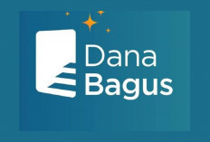Limit 50 Juta Bunga 0,9 Persen Pinjol DanaBagus Siap Bantu Modal Usaha Kamu, Yok Penuhi Syarat dan Ajukan!