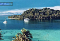 7 Destinasi Wisata Indonesia Dikunjungi Pesohor Dunia, Ada yang Tau?