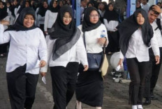 Kok Bisa! PPPK Tidak Bisa Naik Golongan Seperti PNS, Namun Gaji Pokok Lebih Besar..  
