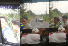 Heboh! 2 Oknum Dishub Tanpa Helm Palak dan Aniaya Sopir, Aksi Brutal Terekam Kamera