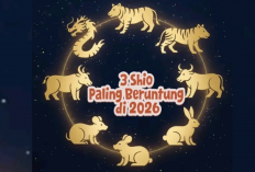 Hoki Gede Menanti! Shio Ayam, Naga, Kambing Paling Beruntung di Tahun 2026