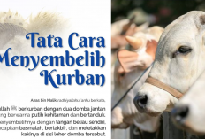 Rahasia Penyembelihan Hewan Kurban Sesuai Syariat Islam, Jangan Sampai Salah!