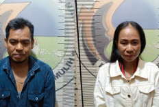 Beli Inek dari Talang Keramat, Hendak di Edarkan di Prabumulih, Suami Istri Ditangkap 