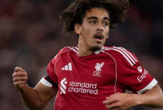 Bintang Muda Liverpool Diprediksi The Next Harry Kane