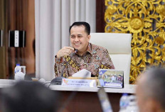 Tingkatkan Produksi Padi, Pemprov Sumsel Segera Optimalisasi Lahan Rawa Seluas 98.400 Hektar