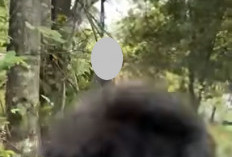Pria Berhelm Ditemukan Tergantung di Pohon Dekat GOR Pancasila
