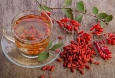 Diet Sehat! Resep Teh Goji Berry dan Manfaatnya untuk Kesehatan...