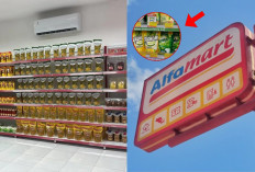 Bikin Kopdes Kewalahan, Ternyata ini Mengapa KDMP Mustahil Tiru Strategi Alfamart dan Indomaret