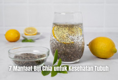 Ternyata Biji Chia Punya 7 Manfaat untuk Kesehatan Tubuh, Begini Cara Konsumsinya!