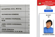 Komeng, Pelawak yang Terjun ke Dunia Politik, Jika Terpilih ini Tugas dan Wewenangnya di DPD 