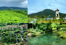 Wisata Pagar Alam Sumatera Selatan: 9 Destinasi Alam yang Memukau Bikin Kamu Betah!