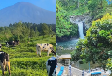 2 Tempat Wisata Terbaik di Purwokerto yang Wajib Kamu Kunjungi Saat Liburan!
