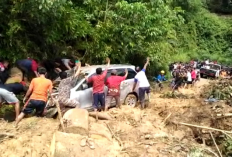 Viral! Seorang Pengemudi Perempuan Terjebak Lumpur di Klapanunggal Bogor Karena Ikuti Google Maps