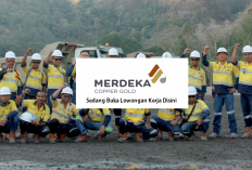 Penyuka Emas Batangan Wajib Tau! PT Merdeka Copper Gold Tbk Buka Lowongan Kerja Lho, Yuk Daftar