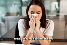 Hidung Tersumbat Bukan Lagi Masalah! Ini Dia 7 Solusi Mengatasinya...