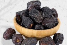 Kurma King Ajwa: Ciri-ciri Asli dan 10 Kelebihan Dibanding Kurma Biasa, Pilihan Utama di Ramadhan!