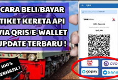 Cara Memesan Tiket Kereta Api di KAI Access dan Bayar Pakai OVO, Begini Caranya