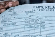 Cetak Kartu Keluarga Secara Online Tanpa Harus ke Dukcapil, Simak Cara Mudahnya