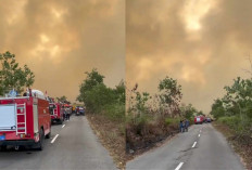 Update Terkini Karhutla Kotawaringin Barat: 1.717 Hektare Lahan Terbakar, Asap Ganggu Aktivitas  