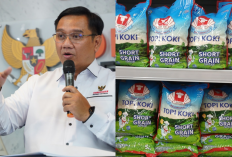 Stok Beras Melimpah, Harga Tetap Tembus Rp37.500! Ombudsman: Tata Kelola Amburadul
