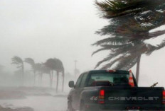 Cuaca Ekstrem! Waspada Hujan Lebat Disertai Angin Kencang, Gelombang Laut Tinggi