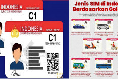 Jenis SIM Kendaraan Bakal Makin Mudah Dikenali, Ada Perubahan Desain Mulai Juli 2024, Seperti Apa?