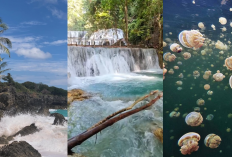 Surga Alam Sulawesi yang Tak Pernah Mengecewakan! Pantai Kelapa, Air Terjun Piala & Danau Ubur-Ubur Togean
