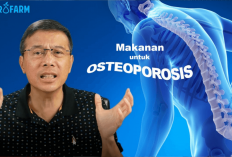 5 Manfaat Konsumsi Buah Apel Untuk Wanita di Bulan Ramadan, Salah Satunya Bisa Menjaga Tulang, Kok Bisa?