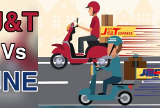 3 Fakta J&T Lebih Unggul dari JNE, Benarkah 88 Persen Gen Z dan 76 Persen Gen Milenial...