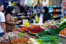 Harga Sembako Hari Ini 13 Agustus 2026: Cek Beras, Cabai, Telur hingga Gula
