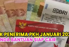 Cek Penerima PKH 2026 Januari: Panduan Lengkap via Aplikasi dan Website Kemensos!