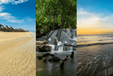 Indah banget! 3 Wisata Estetik di Kupang yang Bikin Kamu Lupa Pulang, Sunset-nya Beneran Bikin Meleleh!