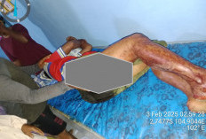 8 Perampok Santroni Rumah Petani, Bawa Kabur Uang dan Emas Bernilai Puluhan Juta