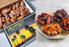 5 Kurma Premium Bebas Afiliasi Israel untuk Ramadhan 2025, Lezat, Murah, dan Bikin Puasa Tambah Berkah! 