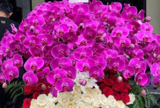 Perayaan Sederhana Megawati ke-79, Hadiah Bunga Gibran Curi Perhatian! 