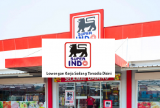 Lulusan SMA/SMK-D3 Wajib Lamar Lowongan Kerja di Super Indo, Bisa Dapat Banyak Benefit, Daftar Sekarang!