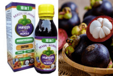 7 Khasiat Buah Manggis Untuk Kesehatan yang Bikin Kaget Banyak Orang, Salah Satunya Antikanker, Masak Sih?