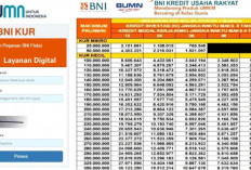 Gak Perlu ke Bank! Ini Cara Dapat Pinjaman KUR BNI 2025 Lewat HP, Bunga 6 Persen & Tenor 60 Bulan, Yuk Ajukan
