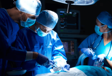 Rekomendasi SNBP 2025: Inilah 22 Universitas Kedokteran Terbaik di Indonesia dengan Daya Tampung Terbesar!