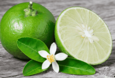 7 Manfaat Jeruk Nipis Untuk Wajah, Berikut Efek Sampingnya, Cek Di Sini